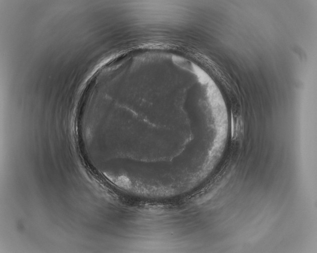 X0000112360531200909031912