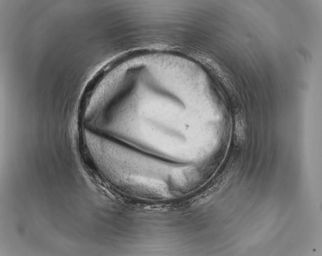 X0000112360532200909031912
