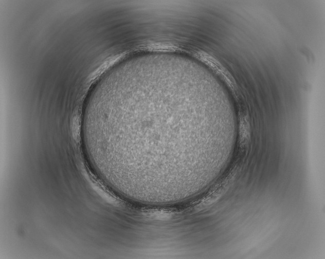 X0000112360533200909031912