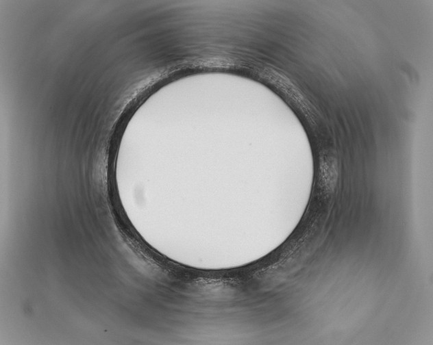 X0000112360534200909031912