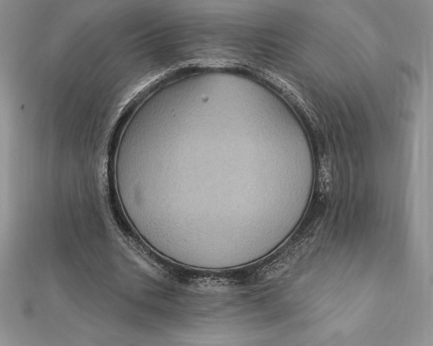 X0000112360535200909031912