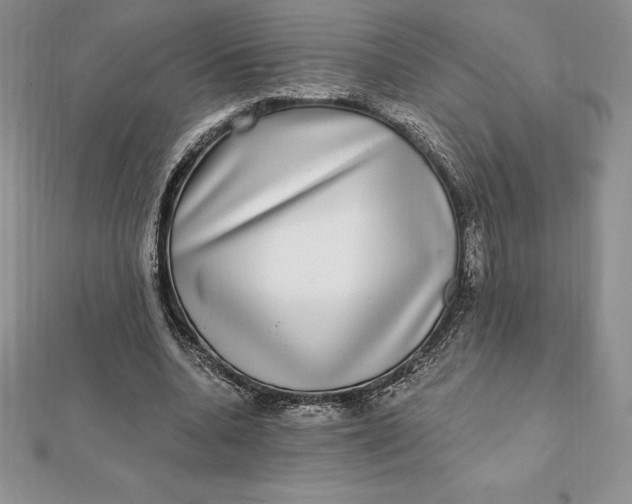X0000112360536200909031912