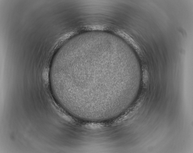 X0000112360537200909031912