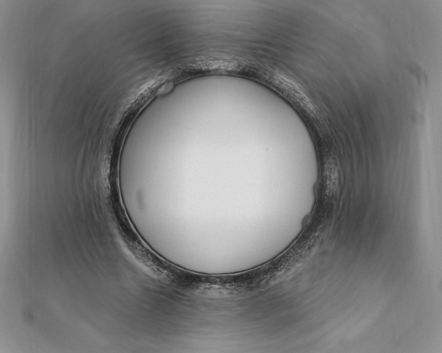 X0000112360538200909031912
