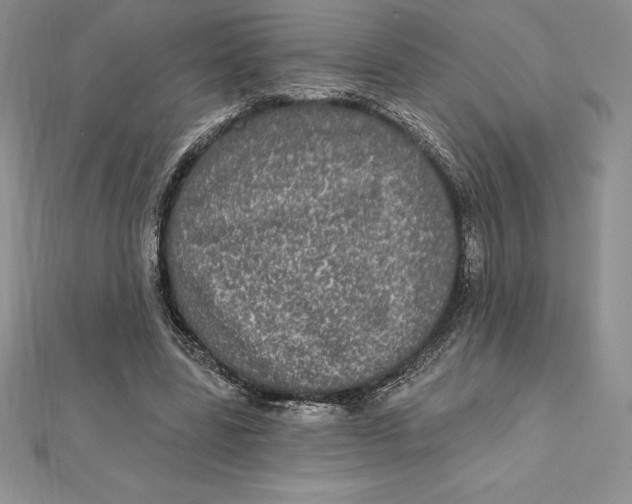 X0000112360539200909031912