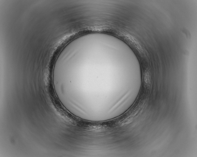 X0000112360540200909031912