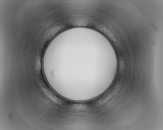 X0000112360541200909031912