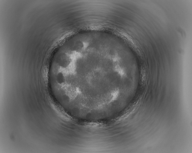 X0000112360542200909031912