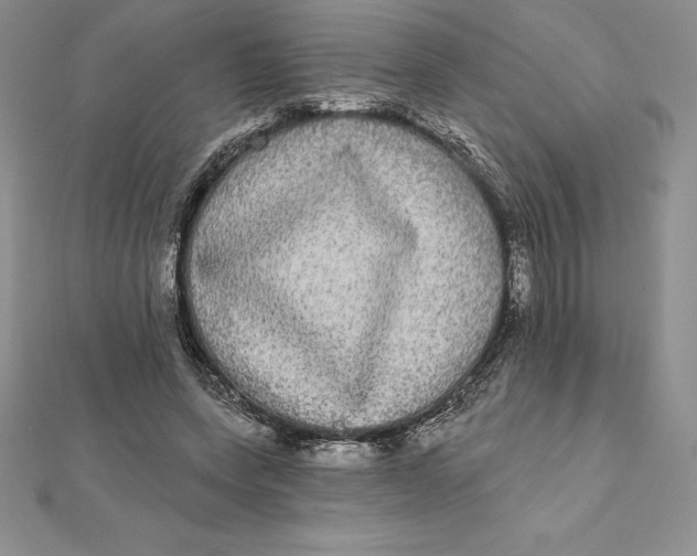 X0000112360543200909031912