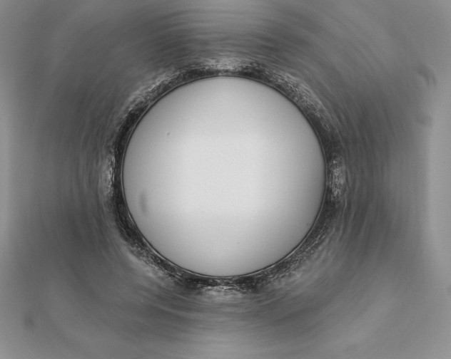 X0000112360544200909031912