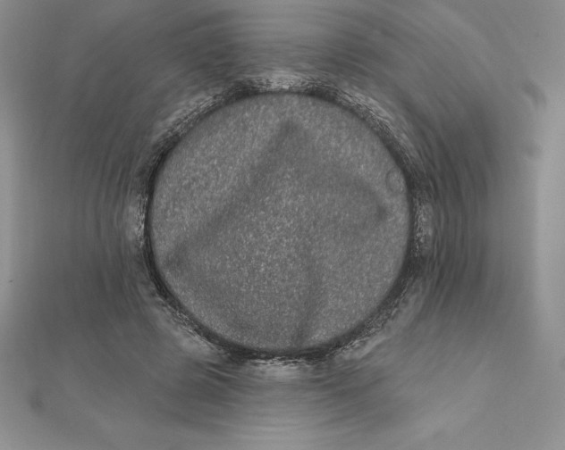 X0000112360545200909031912
