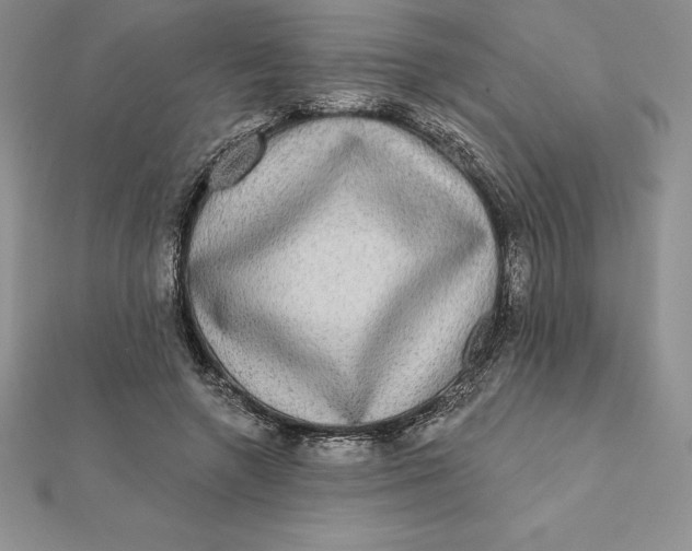 X0000112360546200909031912