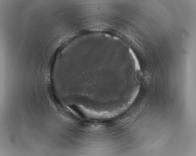 X0000112360547200909031912