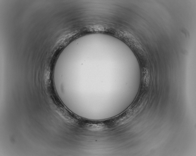 X0000112360548200909031912