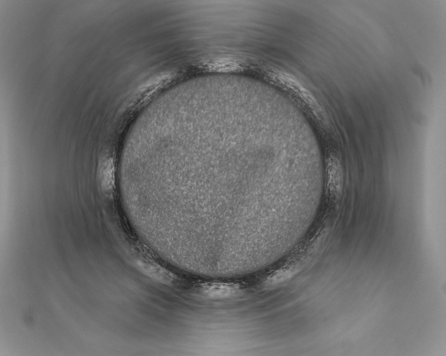 X0000112360549200909031912