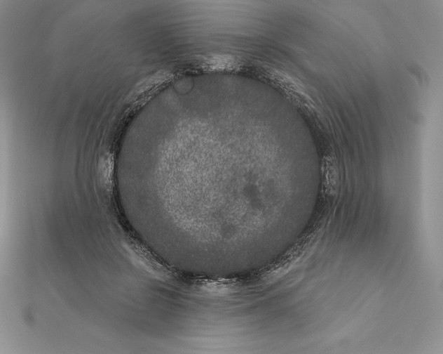 X0000112360550200909031912