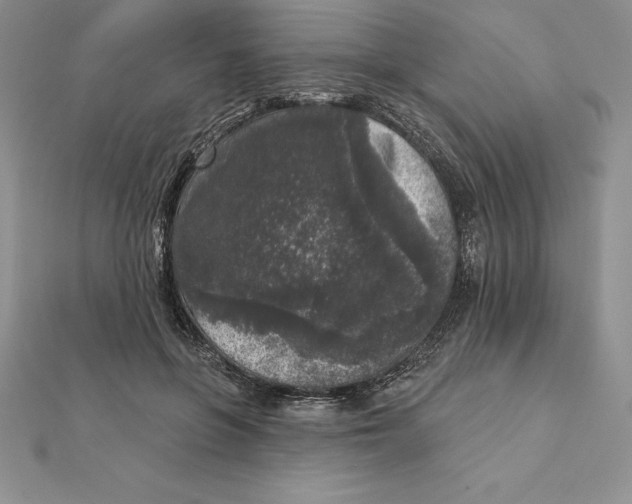 X0000112360551200909031912