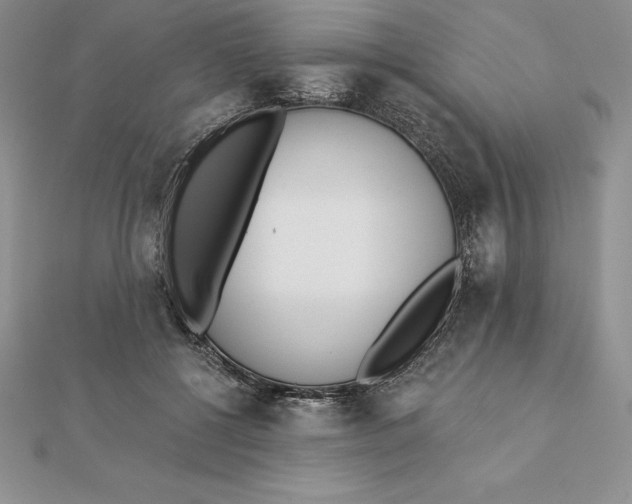 X0000112360552200909031912