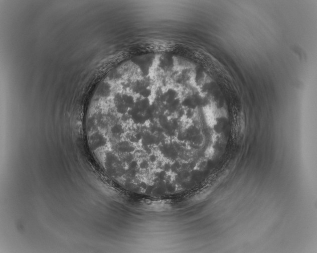 X0000112360553200909031912