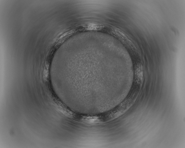 X0000112360554200909031912