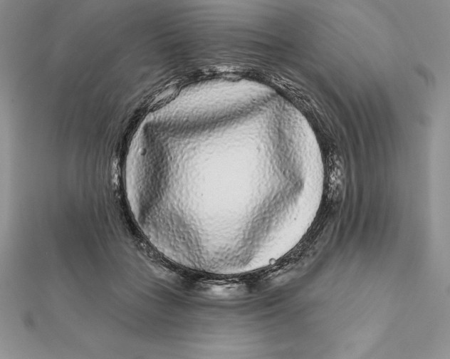 X0000112360555200909031912