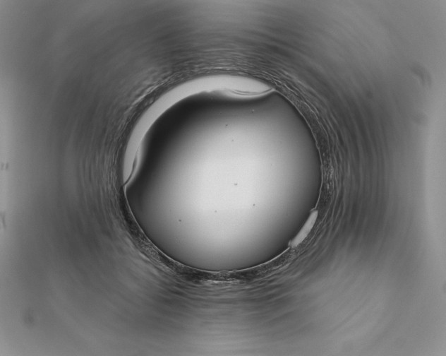 X0000112360556200909031912