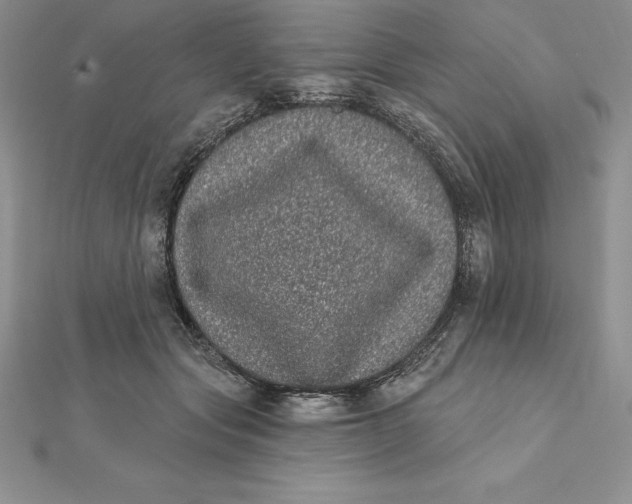 X0000112360557200909031912