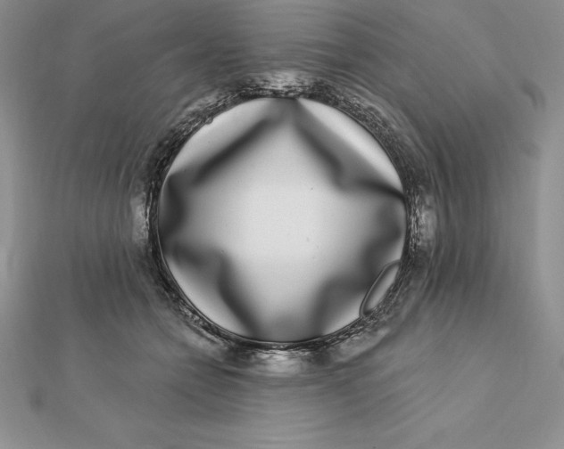 X0000112360558200909031912