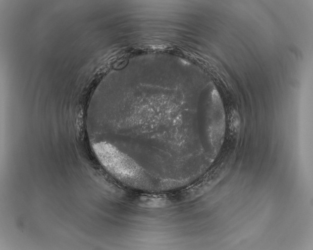 X0000112360559200909031912