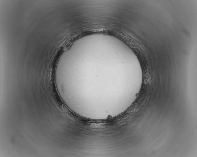 X0000112360560200909031912
