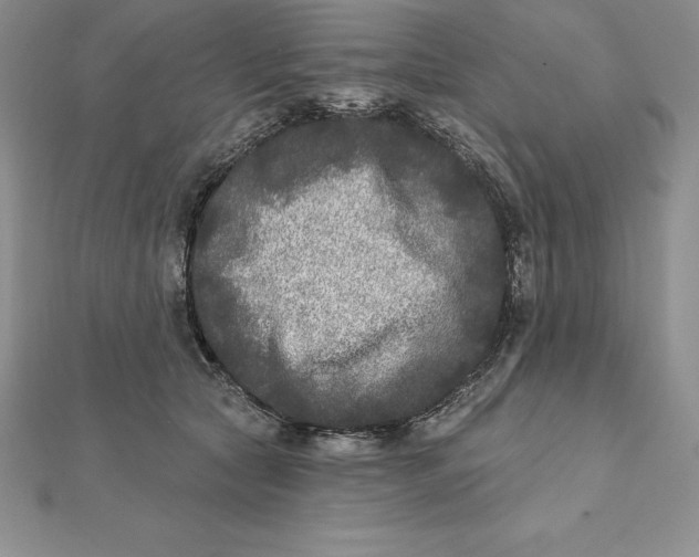 X0000112360561200909031912