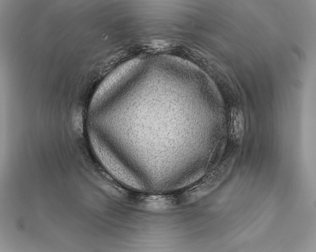 X0000112360562200909031912
