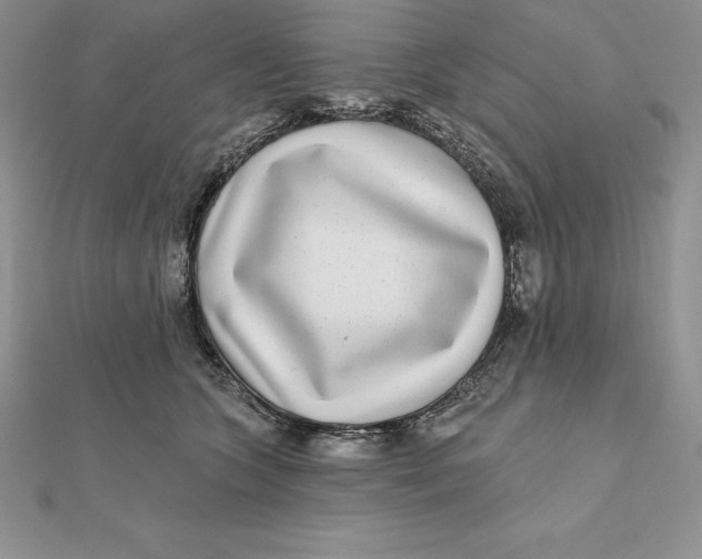 X0000112360563200909031912
