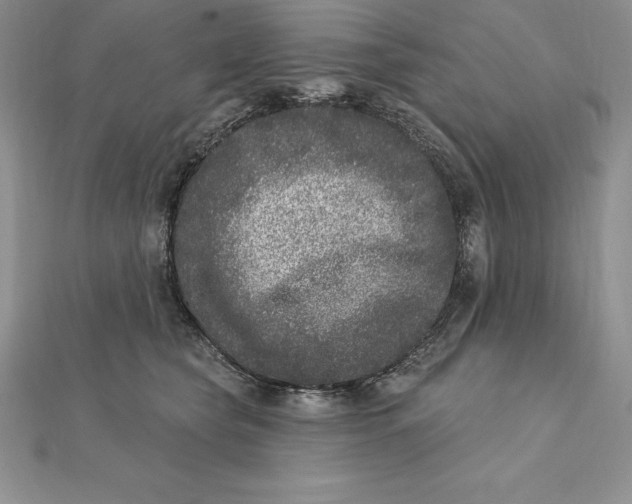 X0000112360565200909031912
