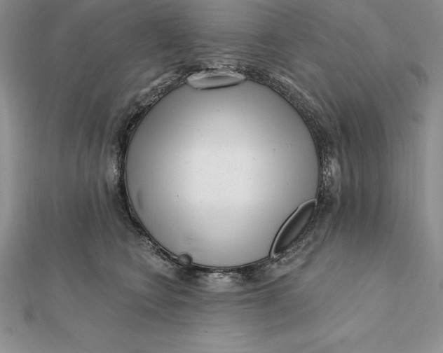 X0000112360566200909031912