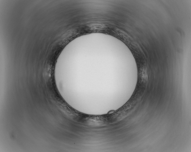 X0000112360567200909031912