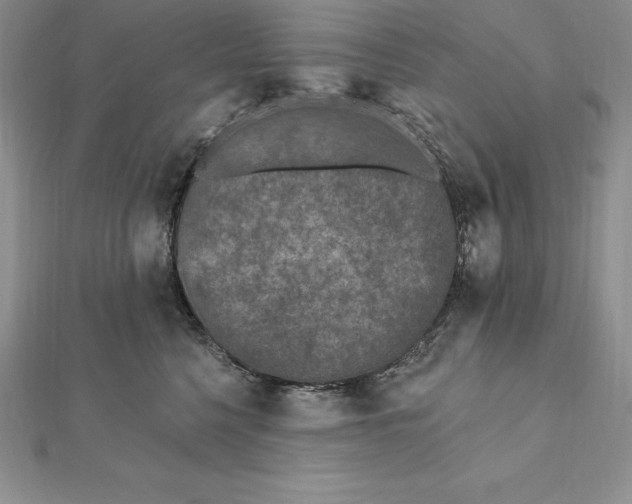 X0000112360568200909031912