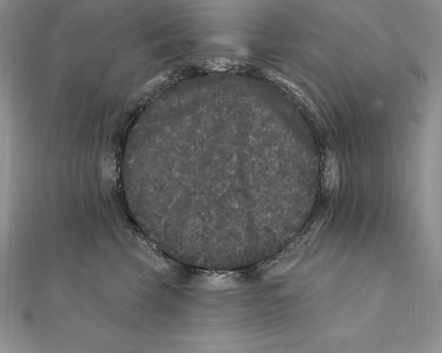X0000112360569200909031912