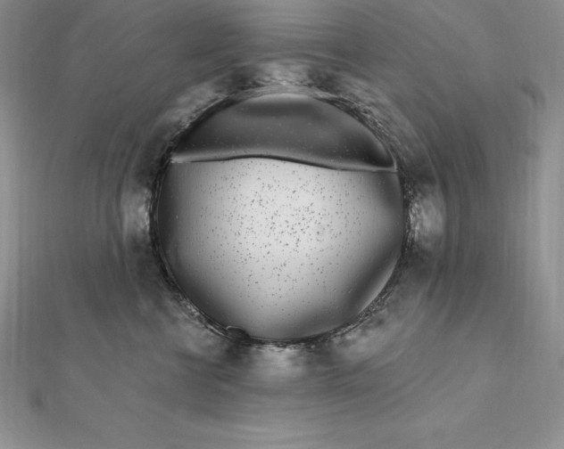 X0000112360570200909031912