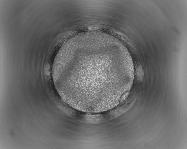 X0000112360571200909031912