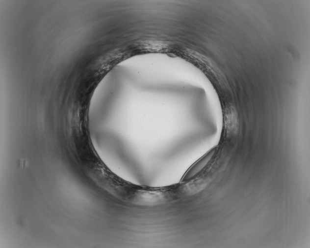 X0000112360572200909031912