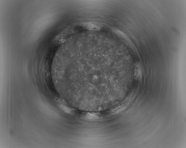 X0000112360573200909031912