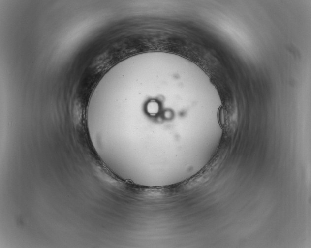 X0000112360574200909031912