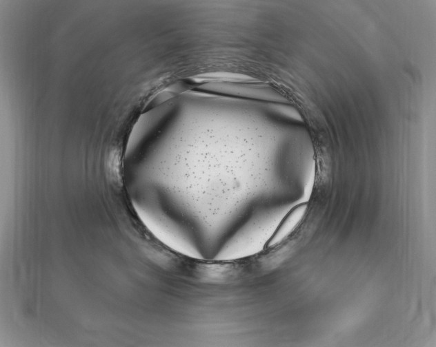 X0000112360575200909031912