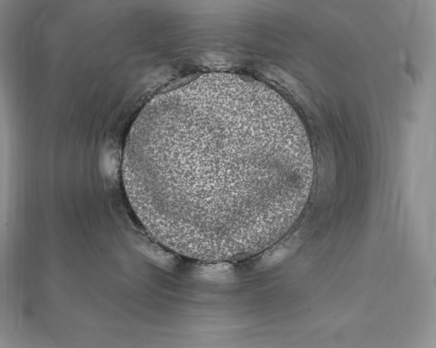 X0000112360576200909031912