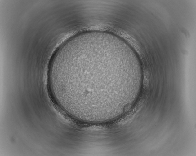 X0000112360578200909031912