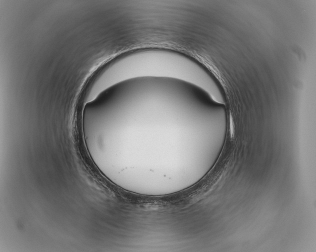 X0000112360579200909031912