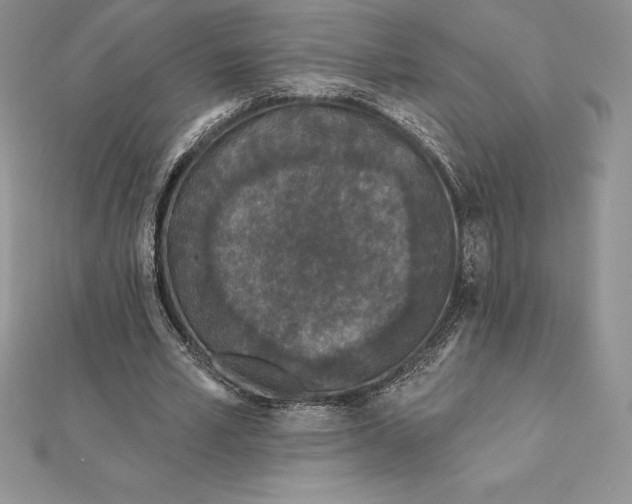 X0000112360581200909031912