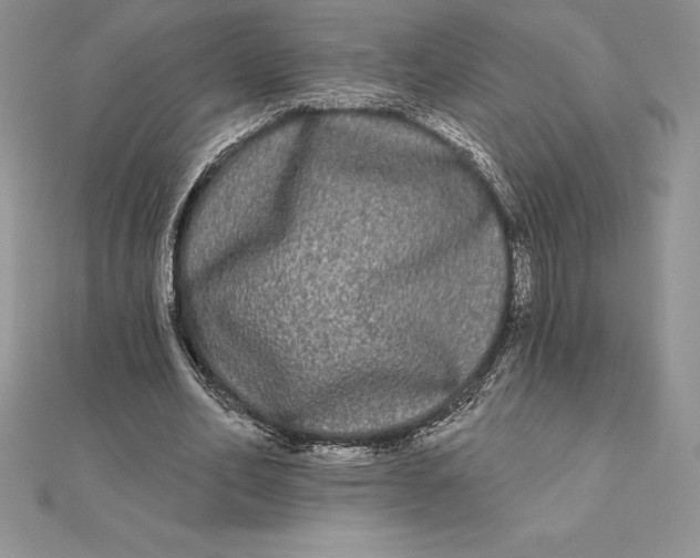 X0000112360582200909031912