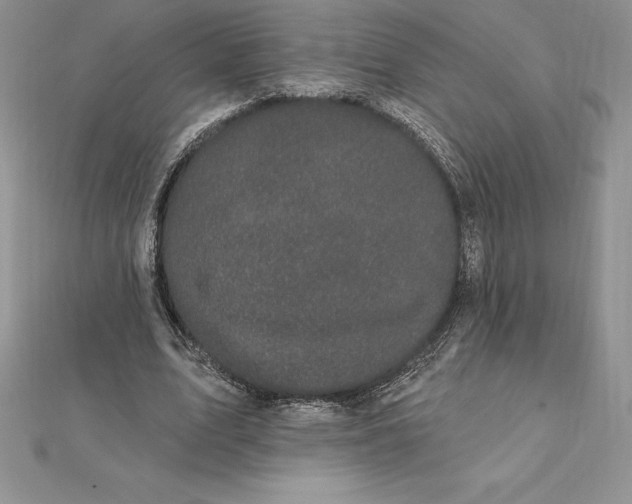X0000112360583200909031912